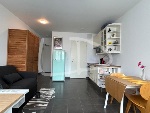 WhatsApp Image 2025-05-05 at 14.31.41 (13).jpeg